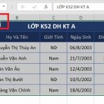 copy-du-lieu-trong-excel-2019-buoc-2