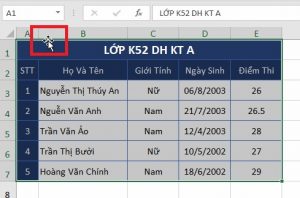 copy-du-lieu-trong-excel-2019-buoc-2