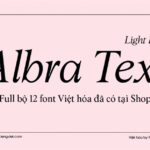 Font Albra Text Light Italic