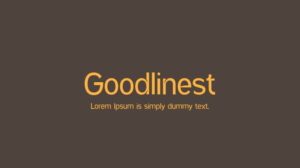 Font Goodlinest Thin Italic