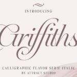 font Griffiths